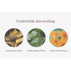 Black Tea Enriched Cream 19 Black Tea Enriched Cream -Cosrx Shop enriched cream 11 1100x adf2b294 fa8b 4145 89ce 8ee5ccad6417