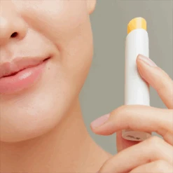 Innisfree Canola Honey Lip Balm -Cosrx Shop img04 04