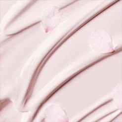 Innisfree Cherry Blossom Glow Tone-Up Cream -Cosrx Shop img05 bd10534d 41f5 4552 a637 cb0d8a6140dd