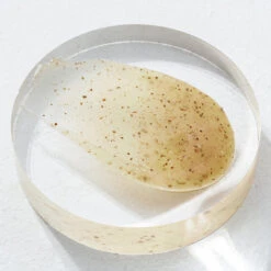 Master Gentle Recipe Foam Cleanser 8 Master Gentle Recipe Foam Cleanser -Cosrx Shop master cleanser 2 c14922e2 0183 4dc4 99cc dbcf6b234492