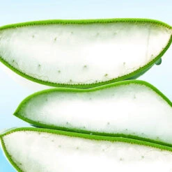 Blue Oasis Aloe Hydrating Serum -Cosrx Shop oasisoption03
