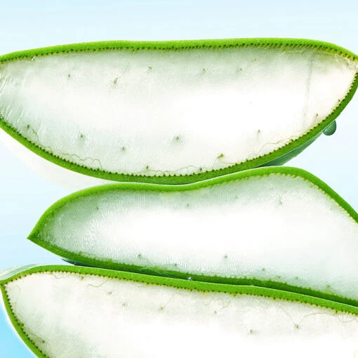 Blue Oasis Aloe Hydrating Serum - Image 8