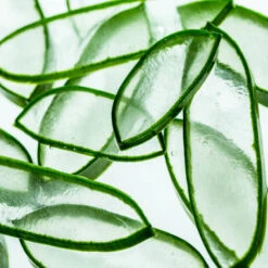 Soothing Aloe Vera Gel 9 Soothing Aloe Vera Gel -Cosrx Shop product images 1619357429.94e30aab455d80340bbbc653082f9e82 65ea4e0c 2525 46ae a3e6 7e2271d3116a1621604308