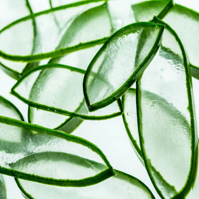 Soothing Aloe Vera Gel 5 Soothing Aloe Vera Gel - Image 5