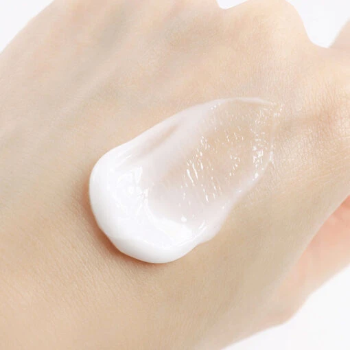 1025 Dokdo Cream - Image 5