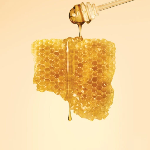 Royal Honey Propolis Enrich Cream Mist - Image 3