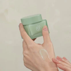 Green Calm Aqua Cream -Cosrx Shop shop 2 1000x1000 4b9c0b5b 7663 428e 8ad1 1aa5feb4b63a