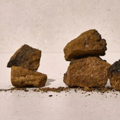 Chaga Collagen Charging Serum 13 Chaga Collagen Charging Serum -Cosrx Shop shop 3 36f15cb3 cc80 413d a02f 3d965022e03d jpg