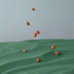 Youth & Glow -Cosrx Shop thumb Serumkindshopify B 52 600x a74c5277 0d65 4ae0 9d20 e0b727a23e8f