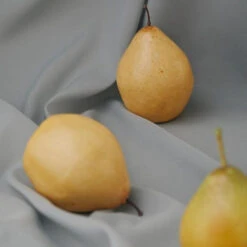 Yellomello Drop -Cosrx Shop thumb Serumkindshopify B 72 600x d7f1136f 4af2 4781 af92 3e71f700dba1