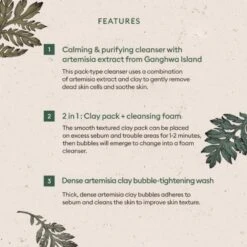 Time Revolution Artemisia Pack Foam Cleanser -Cosrx Shop timerevolutionartemisiapackfoamcleanser3
