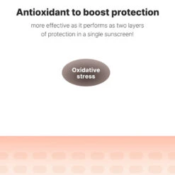 Cosrx Vitamin E Vitalizing Sunscreen -Cosrx Shop vitamin e vitalizing sunscreen spf 50 cosrx official 3 1296x 37278967 79b8 410b 8efe 6975c7388b45
